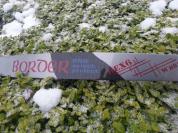 Custom 2